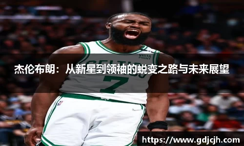 星空综合官网