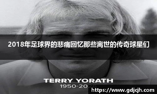 2018年足球界的悲痛回忆那些离世的传奇球星们