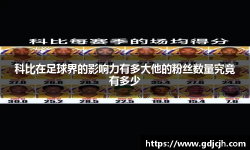 星空·综合体育