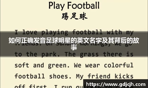 星空综合·(中国)官方网站